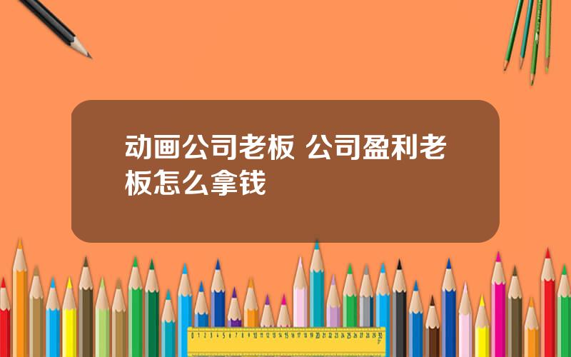 动画公司老板 公司盈利老板怎么拿钱